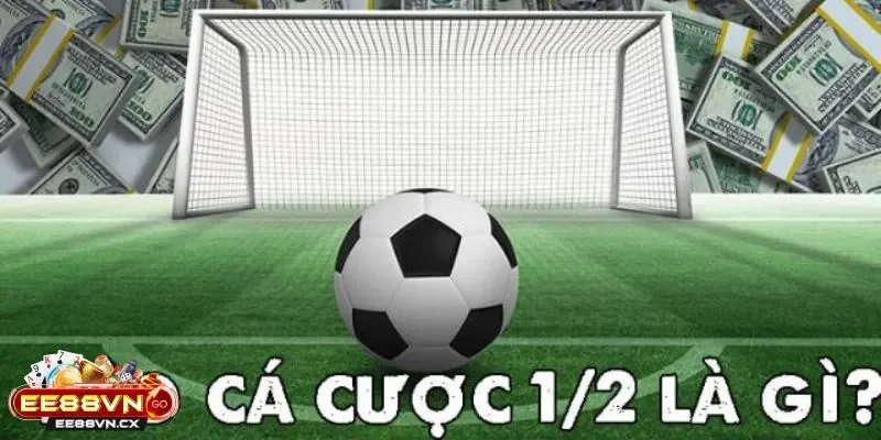 Kèo chấp 1/2 là sao