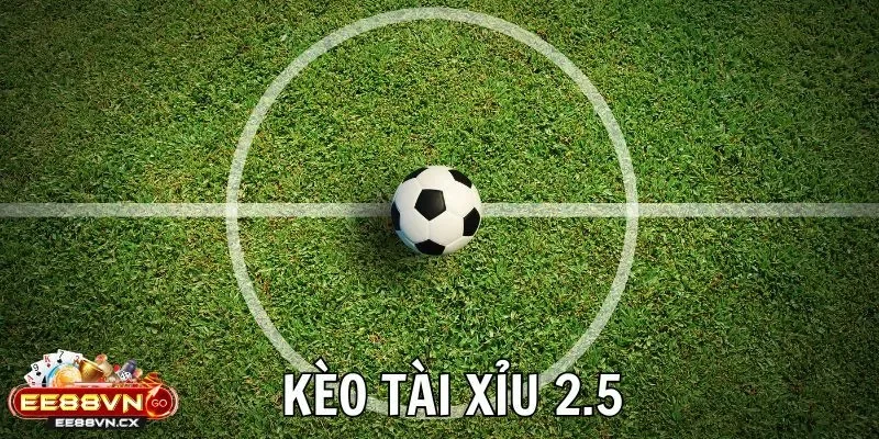 Kèo Chấp 2 2.5